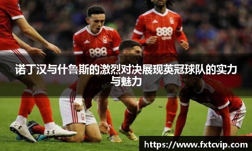 诺丁汉与什鲁斯的激烈对决展现英冠球队的实力与魅力